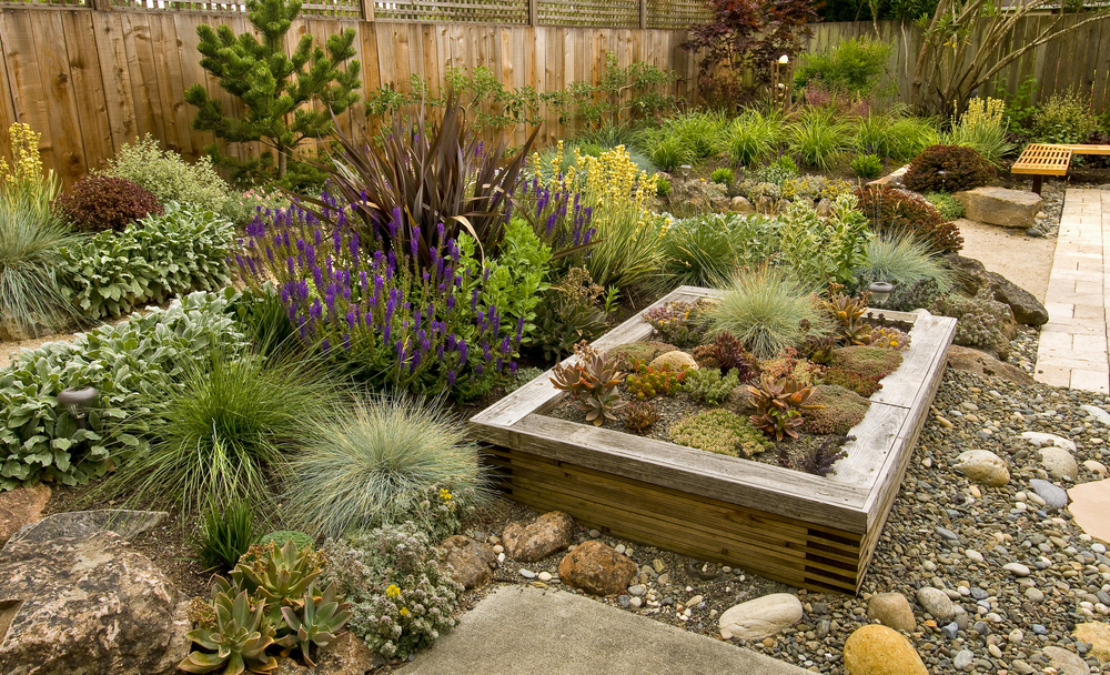landscaping, patio, fence and raised bed drought-resistant perennials